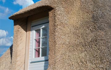 Frieth thatch roof disadvantages